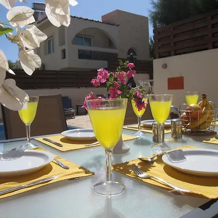 Paradiso فيلة