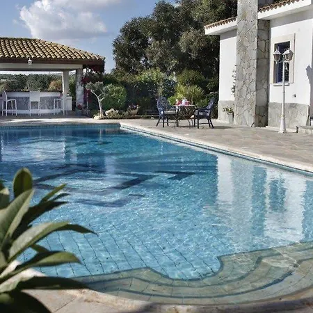 Paradiso فيلة