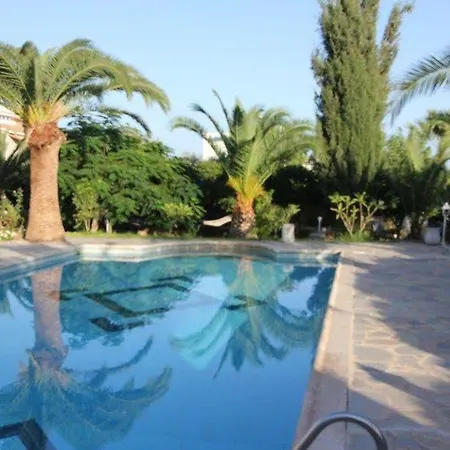 Paradiso فيلة *