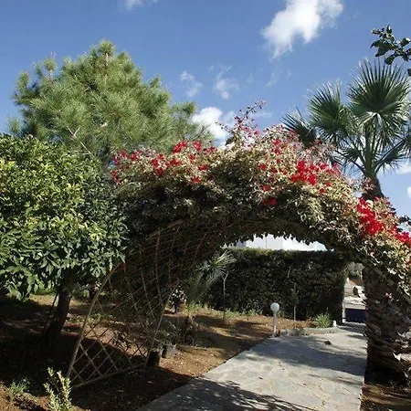 Paradiso بروتاراس