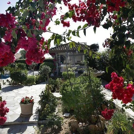 Paradiso Villa Βίλα